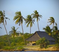 Kipungani Explorer